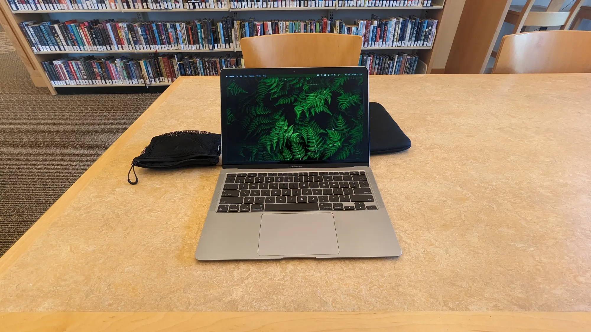 Working on a laptop at the library.