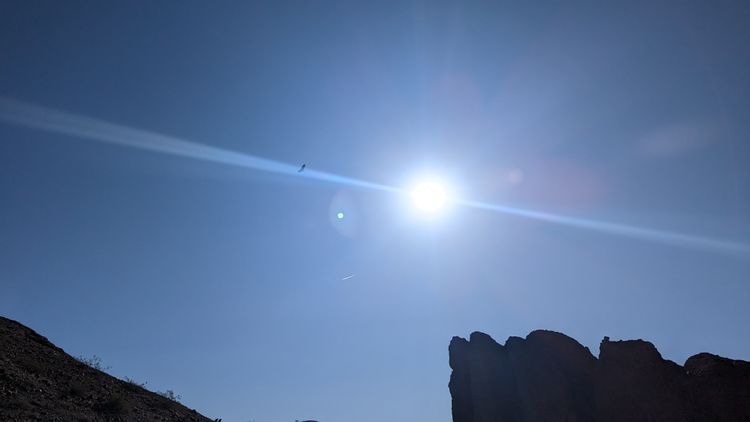 Bird and sun rays in the desert. 