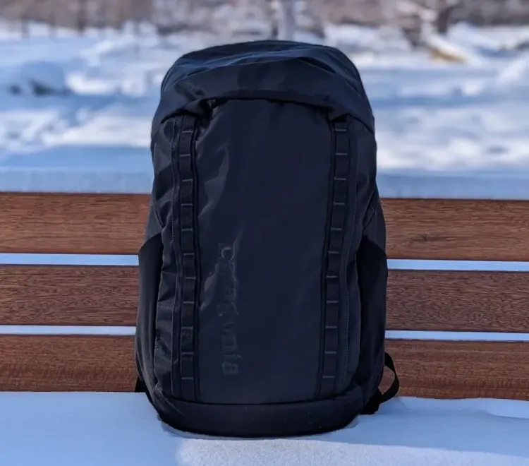 Patagonia Black Hole Pack 32L - Easily sheds snow.